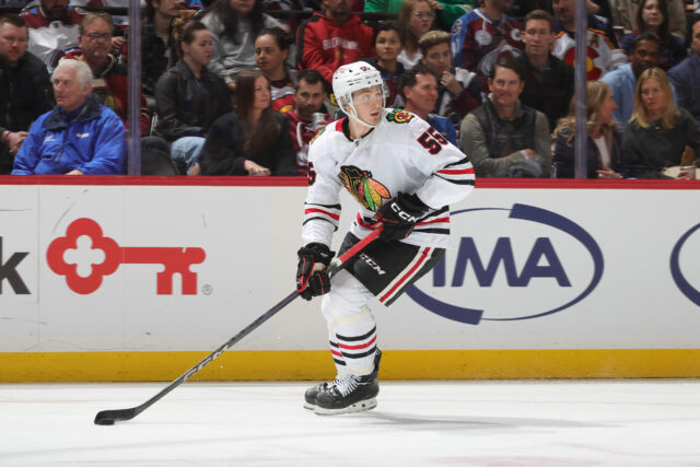 Artyom Levshunov Chicago Blackhawks