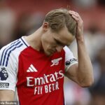 Arsenal, v zápase zatienenom diskusiou o Bournemouth'a viedol vedenie