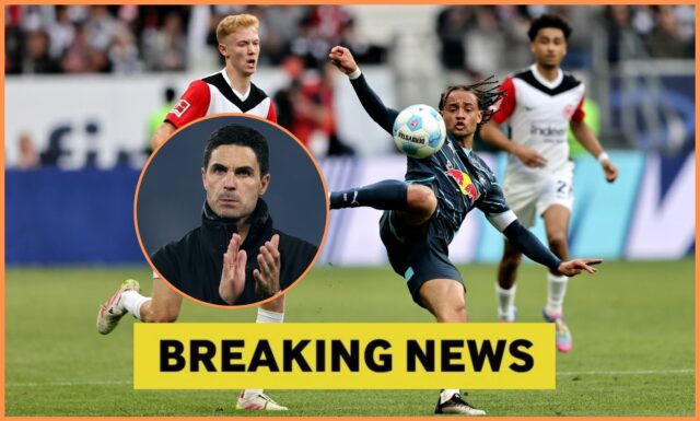 Eberrechi Eze oslavuje skóre pre Crystal Palace