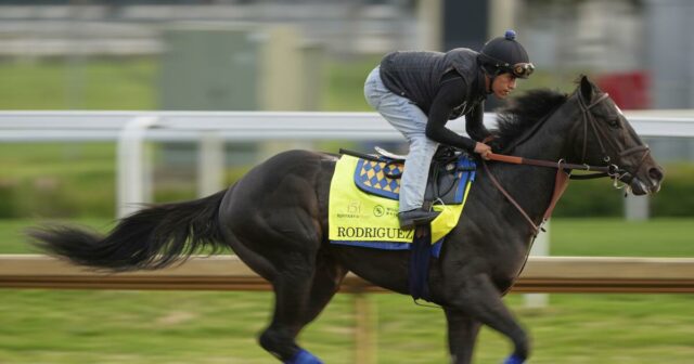 Bob Bafert poškriaba jeden z jeho koní na rok 2025. Kentucky Derby

