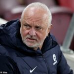 Graham Arnold viedol futbaly na majstrovstvách sveta FIFA v roku 2022 vo finále, ale odišiel po tom, čo sa v roku 2024 začal kvalifikovať