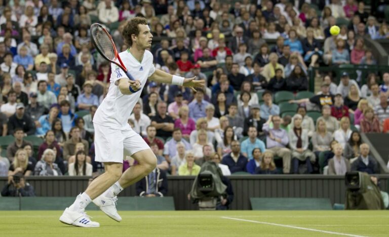 Po dokončení partnerstva Novak Djokovic Andy Murray nájde novú prácu