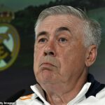 Očakáva sa, že Carlo Ancelotti opustí svoju prácu ako skutočný manažér na konci sezóny
