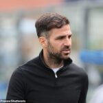 Cesc Fabregas povedal Dele Alli, aby „pokračoval v práci“ pre svoju ďalšiu šancu v Como po svojom prvom odchode.