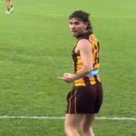 Na obrázku: V okamihu, keď Hawthorn hviezda Nick Watson dal Richmondovi priaznivcom v prostredí, čo je takmer isté, že AFL je potrestaný