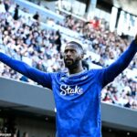 Everton urobil Fulhamove európske nádeje veľkým hitom s návratom víťazstvom v Craven Cottage