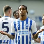 Predpokladá sa, že Joao Pedro nie je spôsobený zmenou tréningovej pôdy v Brightonovom konflikte s Liverpoolom