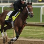 Kentucky Derby Prevádzka žurnalistiky pre stávky na Preakness Run