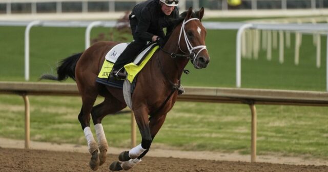 Kentucky Derby Prevádzka žurnalistiky pre stávky na Preakness Run

