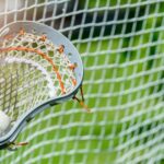 Lacrosse na strednej škole: Výsledky a páry pre play -off chlapcov a dievčat