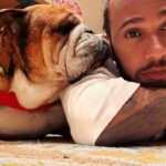 Vodič Ferrari F1, Lewis Hamilton, so svojím psom Roscoe.