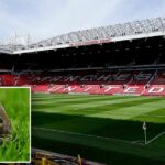 Man Utd zasiahol novú paru Old Trafford, keď myš nachádzajúce sa v recenzii zdravia