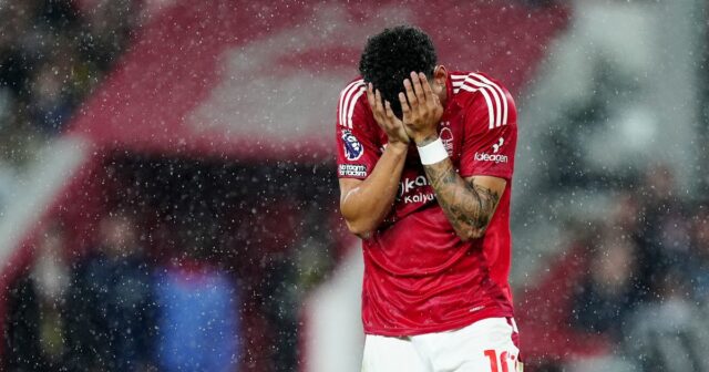Nottingham Forest Ligy Ligy

