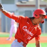 Prípravné rozhovory: Baseball štvrťfinále divízie 1 majú najlepšie zápasy