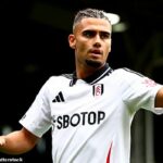 Andreas Pereira sa stal pre Fulhama rozhodujúcim charakterom vo svojich troch sezónach v západe -London