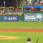 Ventilátor (v červenom kruhu) padol cez stenu a varovnú dráhu PNC Park