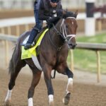Todd Pletcher trénoval veľkolepé škrabance Derby v Kentucky