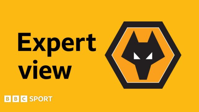Wolverhampton Wanderers expert view banner