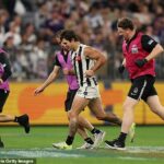 Hviezda Collingwood Lachie Schultz bola vynútená vo štvrtok v noci po hororovej zrážke proti Fremantle, aby opustila pole