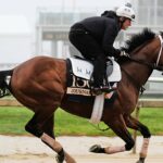 Žurnalistika vyhrá 150. preakness stávku v vzrušujúcom rase