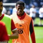 Dva kluby Premier League hlásia, že podpíše kvetinový útočník Jonathan David, ktorý podpíše
