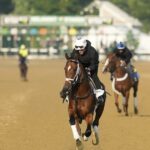 Belmont Stakes má veľa dejov bez trojitej koruny v hre