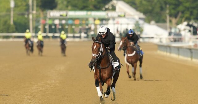 Belmont Stakes má veľa dejov bez trojitej koruny v hre

