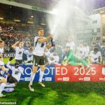 Birmingham City vyhral majstrovstvá ako víťazov ligy minulú sezónu.