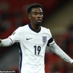 Angel Gomes uviedol, že niektorí hráči sú zastrašovaní hraním Man United