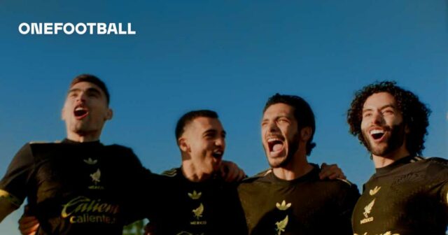 Icon: Get French Football News