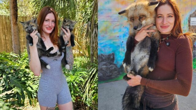 Čo sa stalo s Mikayla Raines? Savefoxova dráma preskúmala v dôsledku smrti zakladateľa vo veku 29 rokov

