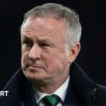 Northern Ireland manager Michael O'Neill