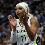Dijonai Carrington z WNBA vystrelí späť k fanúšikom, ktorí ju nazývajú „špinavým hráčom“