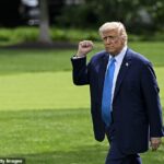 Donald Trump získal veľkú podporu od WWE Legend od Hogana po jeho Elon Musk Feud v strede