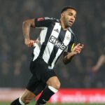 Everton sa objaví v letnom hnutí pre dlhého hráča Newcastle