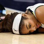 Fanúšikovia WNBA využívajú po Clarkovej divokej reakcii na Reese Internet Reese Ball