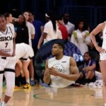 Giannis Antekounmpo ubytoval vášnivú obranu Ariel Ariel D'Angel Reese proti pretrvávajúcej nenávisti