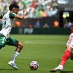 Palmeiras vs Botafogo Live Broadcasting Informácie: Kde vidieť 16. kolo svetového pohára FIFA Club? Predpoveď