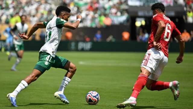 Palmeiras vs Botafogo Live Broadcasting Informácie: Kde vidieť 16. kolo svetového pohára FIFA Club? Predpoveď

