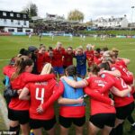 Lewes FC požiadal fanúšikov, aby pomohli zhromaždiť 120 000 GBP, aby sa predišlo zúfalému úsiliu.
