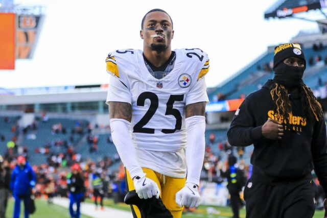 NFL: Pittsburgh Steelers Cincinnati v Bengálsku