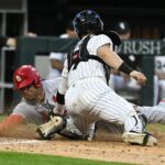 MLB: St. Louis Cardinals Chicago White Sox