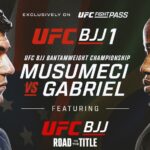 Banner loga UFC BJJ