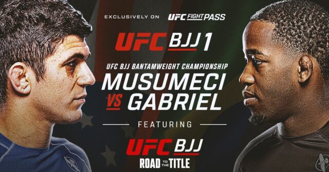 Banner loga UFC BJJ