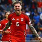 Joe Rodon oslávil svoj prvý gól pre Wales víťazstvom proti Lichtensteinovi