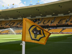 Rob Edwards sa po vyhodení Vítora Pereiru vráti k Wolves Wolves Top Five Kulthelden: Unsung Legends, vrátane „Najne nenávideného muža vo futbale“