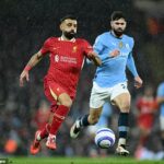 V zozname kalendárov súťaže Premier League sú niektorí fanúšikovia nadšení a rozširujú sa na webe