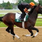 Zvrchovanosť vyhráva 157. Belmont Stakes, preteká za žurnalistikou za výhru