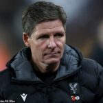Crystal Palace by nemal byť obviňovaný z ich situácie - jednoducho nemohli hrať s hrou UEFA