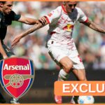 Benjamin Sesko v akcii pre RB Leipzig v rokoch 2024-25